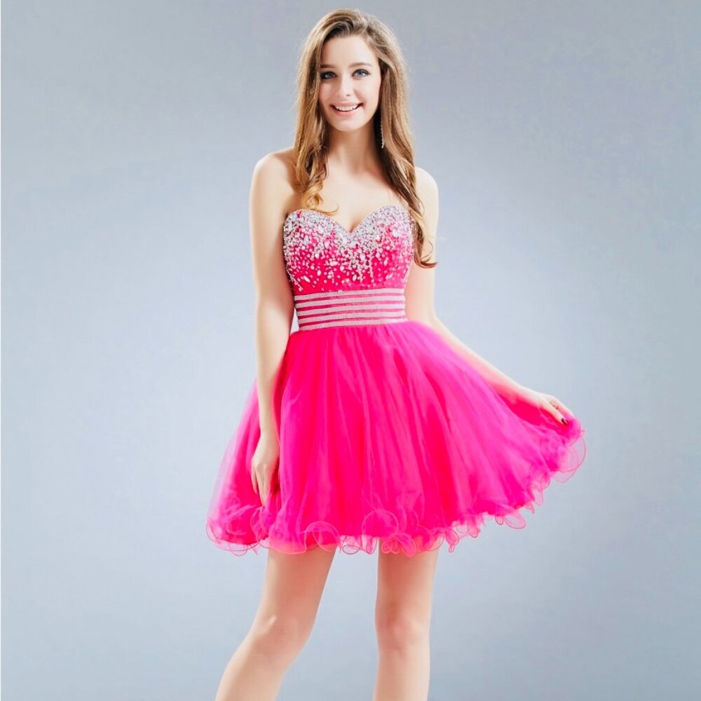 NWT Anny Lee Corset back Puffy tutu skirt Party Event Skater Dress,L,XL,2XL